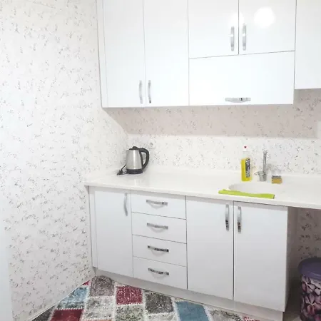 Buse Homes Apartament *